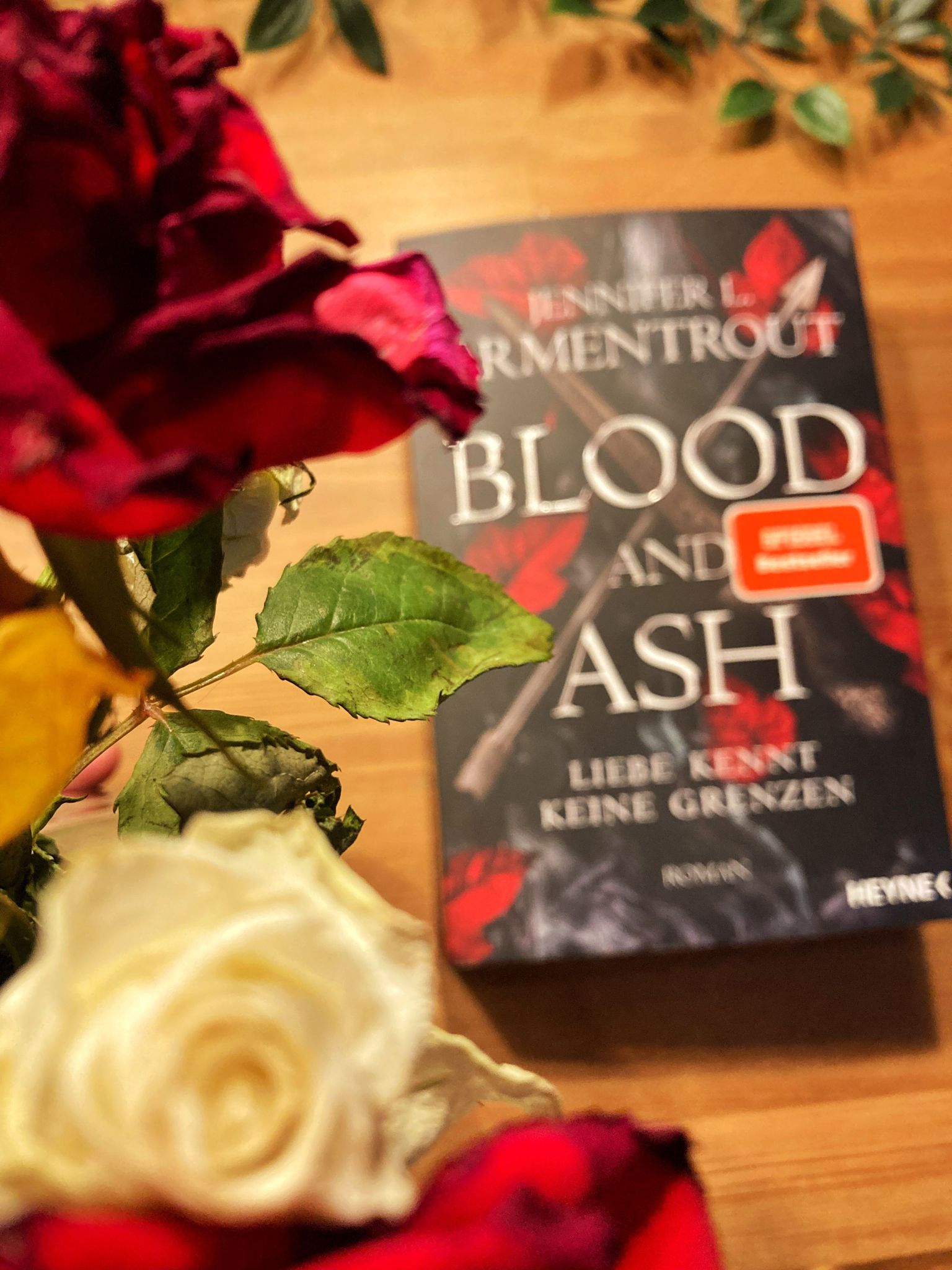 Mehr über den Artikel erfahren //Rezension// Blood and Ash – Liebe kennt keine Grenzen – Jennifer L.Armentrout